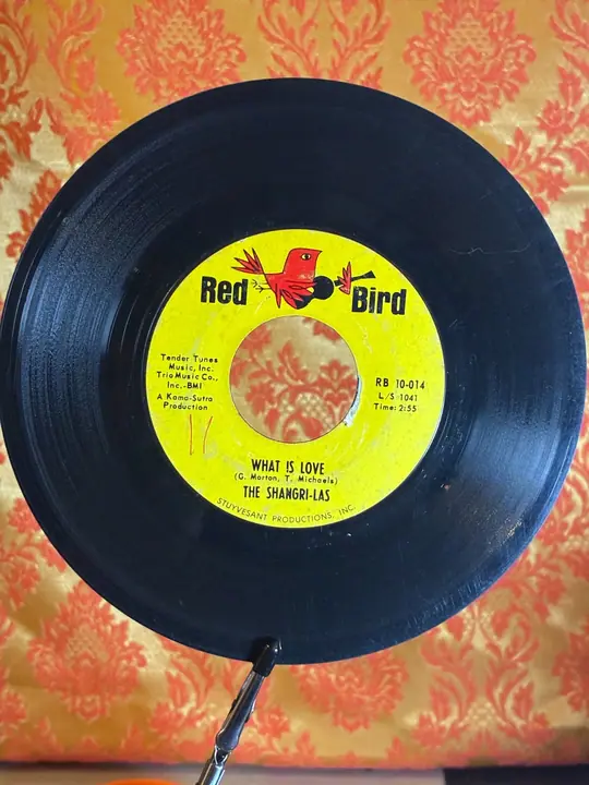 The Shangri-Las – Leader Of The Pack record sleeve