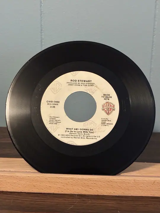 Rod Stewart – Baby Jane\What Am I Gonna Do record sleeve
