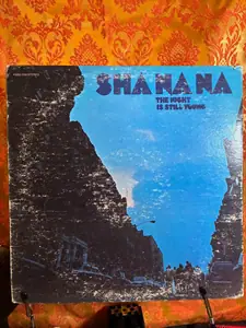 Sha Na Na – The Night Is Still Young record sleeve